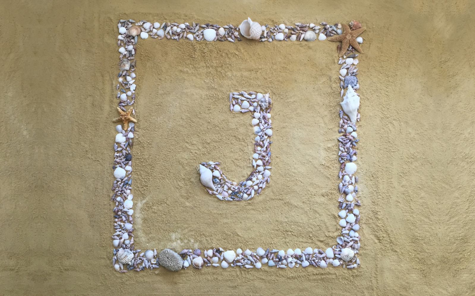 Open Day 2016 plage à la Villa Josiane