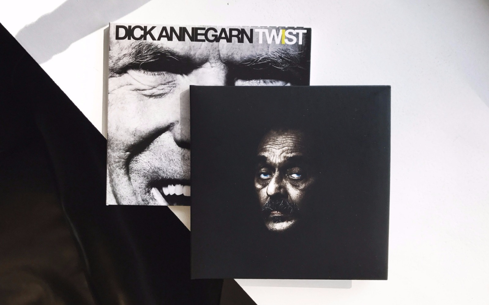 Label Musique Sauvage album Dick Annegarn