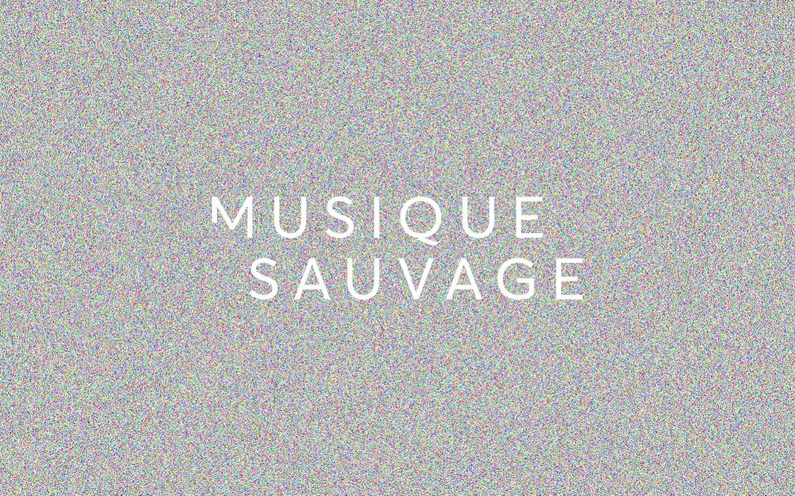 Musique Sauvage logo