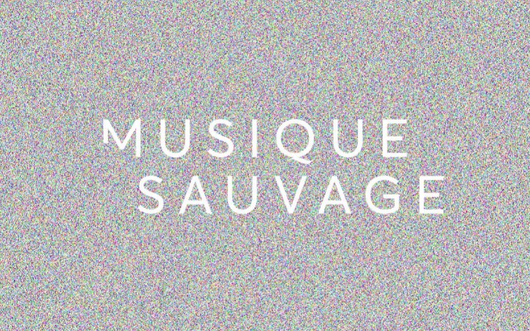 Un nouveau projet web avec Musique Sauvage