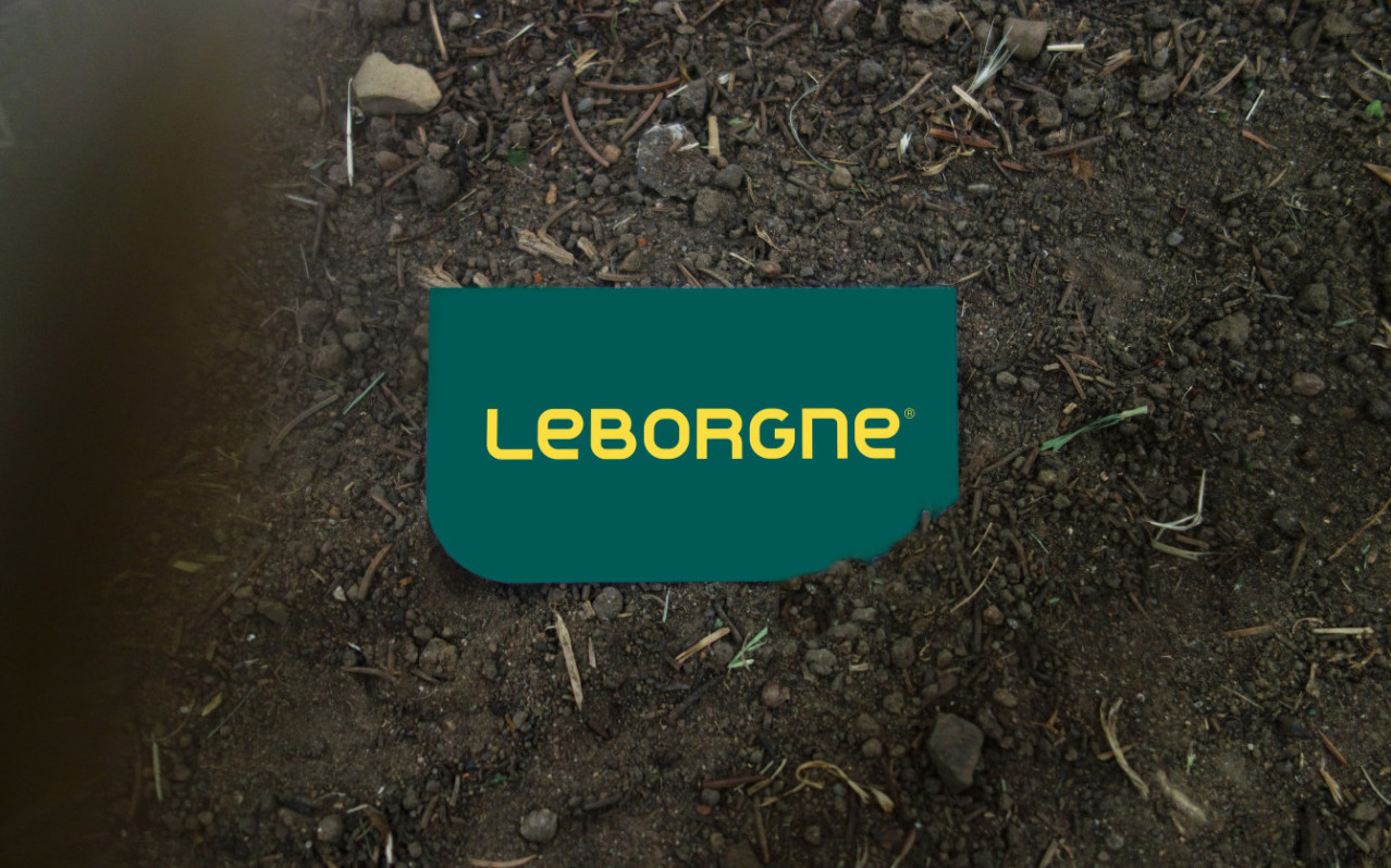 carte visite Leborgne