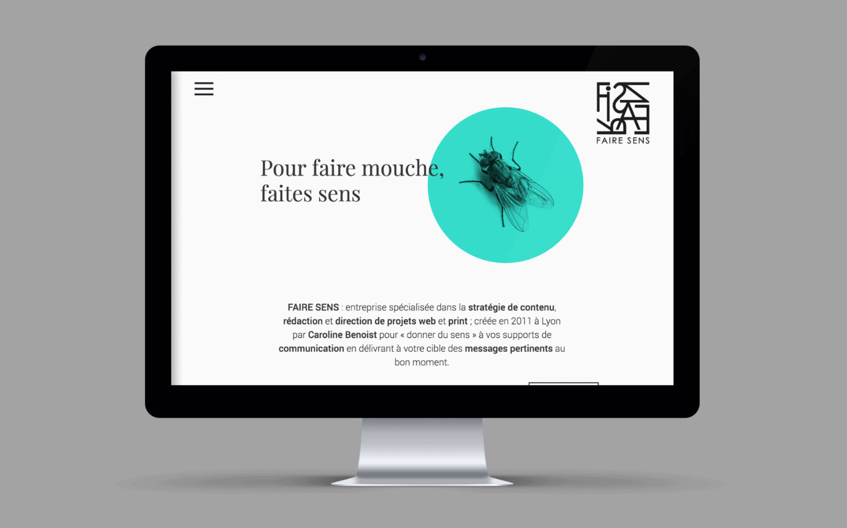 Faire Sens site web desktop