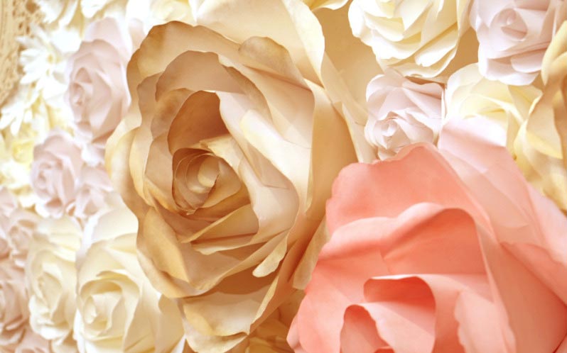 Roses Mevengreen Luxembourg