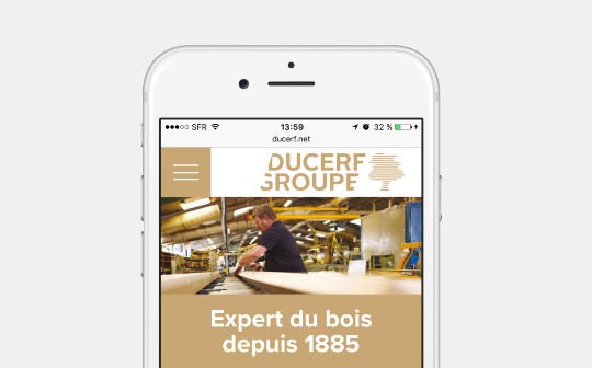 Ducerf Groupe